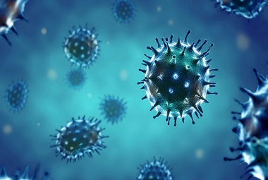 Clicca per accedere all'articolo Prevenzione, sorveglianza ed interventi in risposta alla circolazione dei virus della West Nile disease e dell’Usutu stagione vettoriale 2025