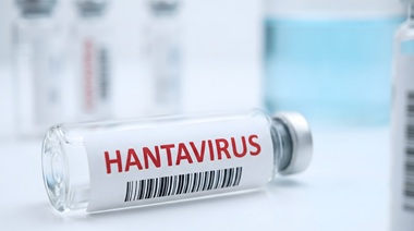 Clicca per accedere all'articolo Circolare Ministero della Salute 3482-11/05/2026-DPRES-MDS-P recante “Focolaio di hantavirus tipo Andes a bordo della nave da crociera MV Hondius: aggiornamento della situazione e indicazioni di sanità pubblica”